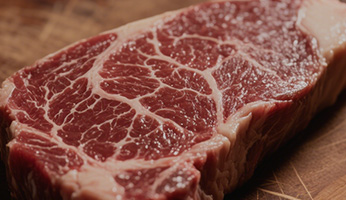Our Nutritional Philosophy
