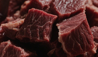 Our Nutritional Philosophy