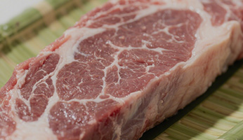 Our Nutritional Philosophy