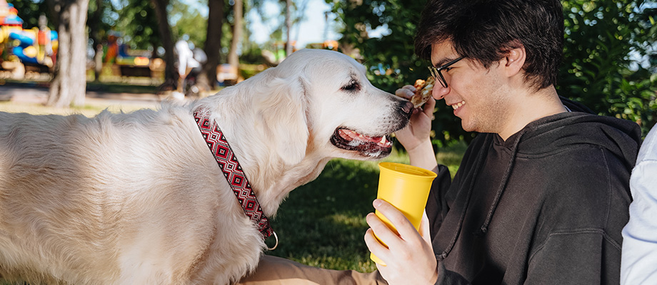 For dog parents