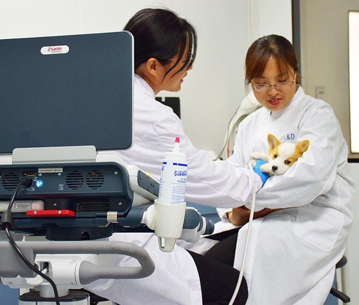 Pet Nutrition And Health Research Laboratory