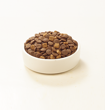 WANPY Grain Free Complete Food For Adult Cat Chicken Recipe
