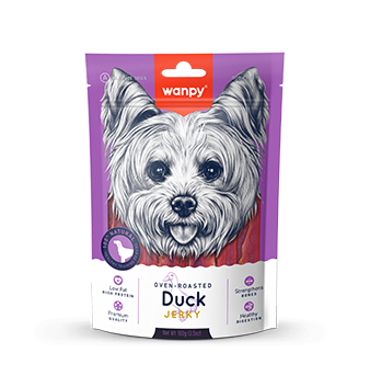 Duck Jerky 