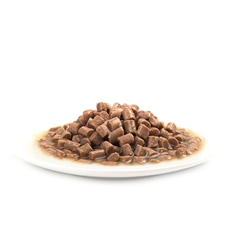 WANPY Chunks In Gravy Canned Food For Cat Tuna