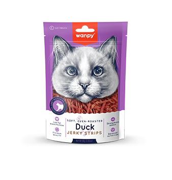 Soft Duck Jerky Strips