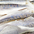 Soft Salmon & Fish Skin Bites for Dogs | Wanpy