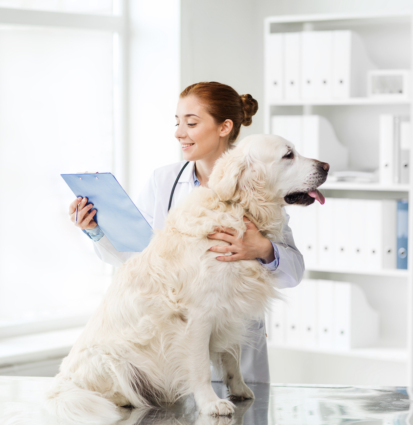 Pet Nutrition And Health Research Laboratory