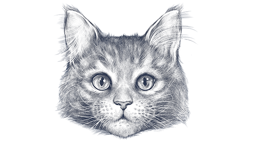Product recommender